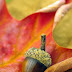 Signs of Autumn