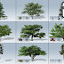 Desktop Trees  Package