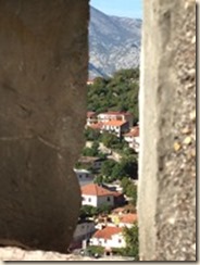 IMG_2654