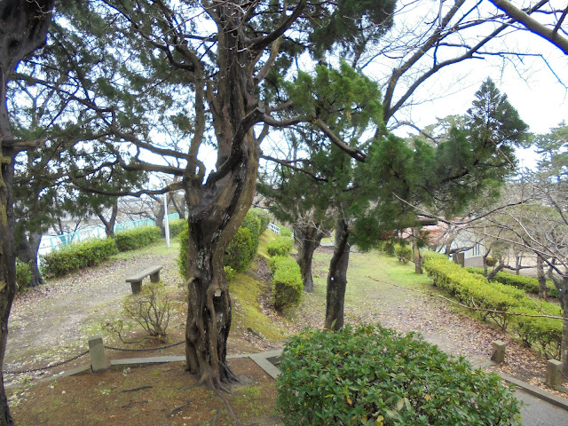 台場公園