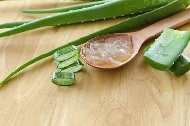 Aloe Vera for Wrinkles: Proof It Works (5 Homemade Recipes)