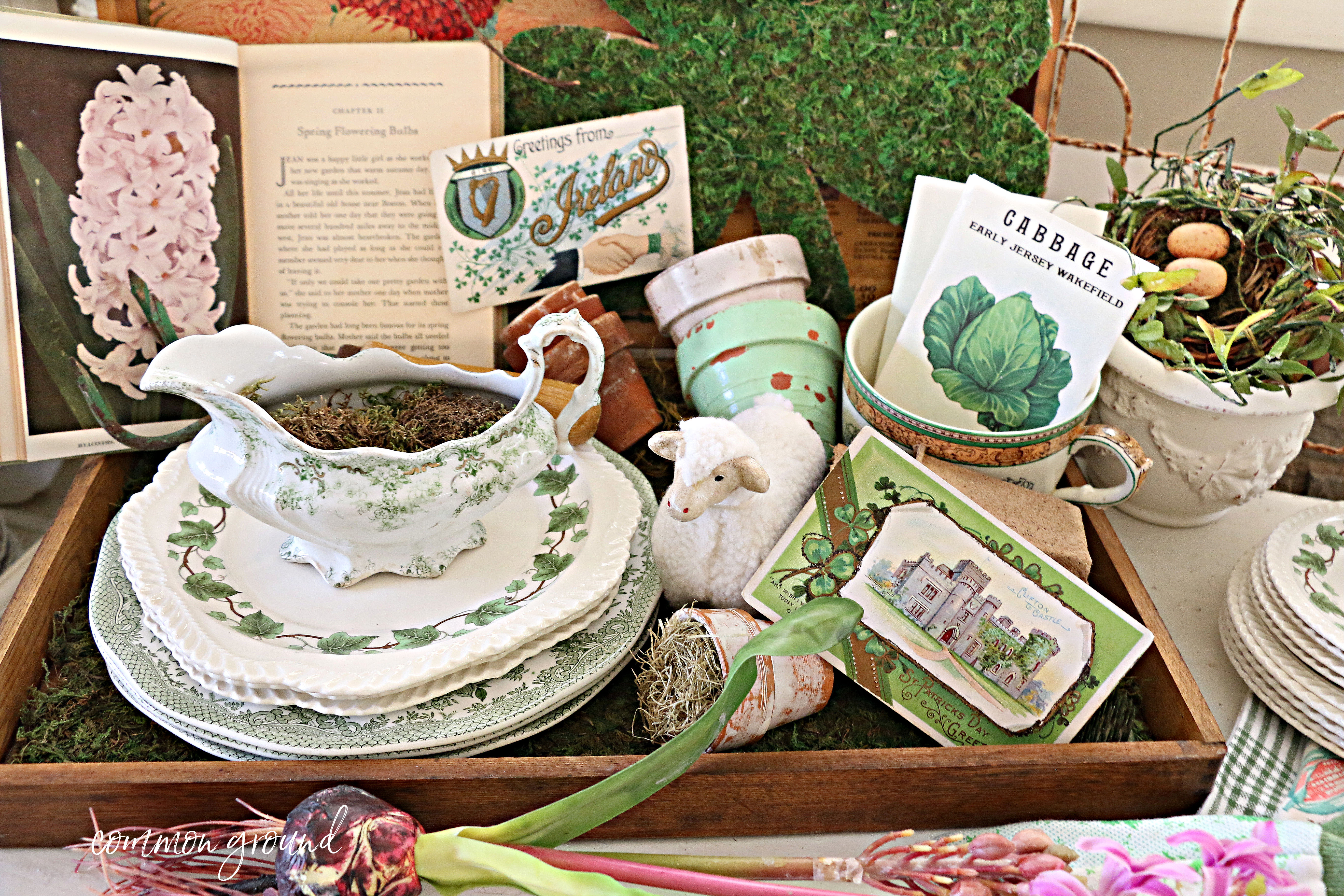 common ground : St. Patrick's Day Seed Box Vignette