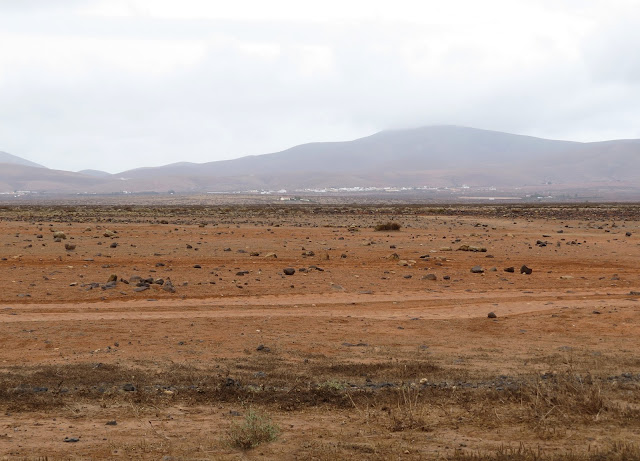 Reserva de El Jarde - Fuerteventura