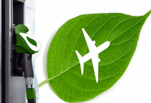 Feedstocks of Sustainable Aviation Fuel (SAF)