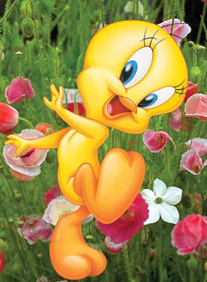 tweety bird coloring pages