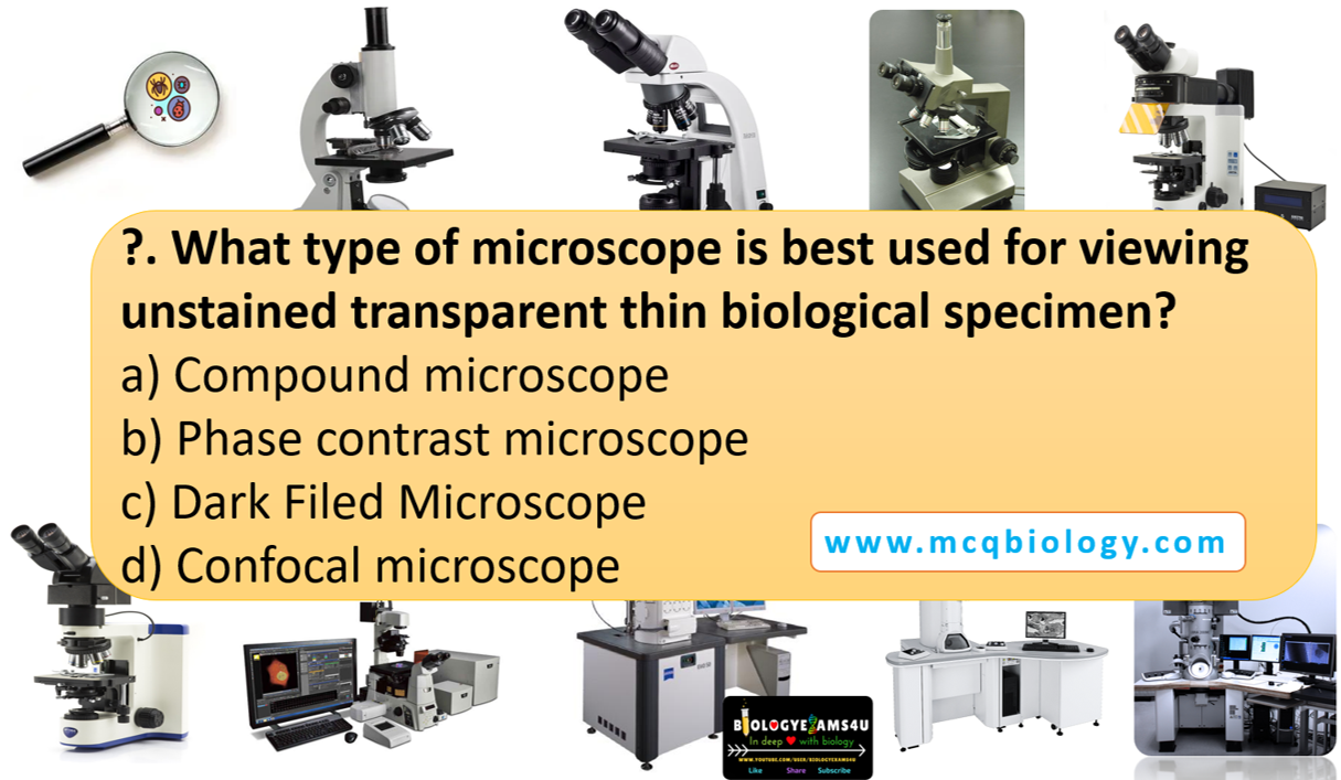 Multiple Choice on Types of Microscope