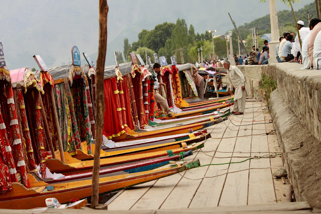 Dal Lake Boat Ride - Travel Blogger on Kashmir