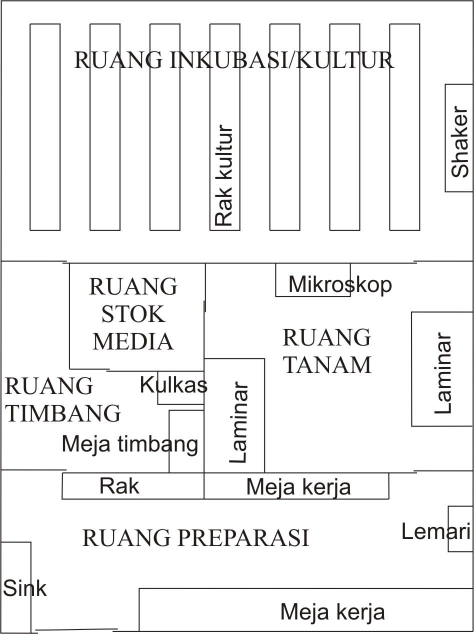 Tanaman In vitro RUANGAN  LABORATORIUM  KULTUR JARINGAN