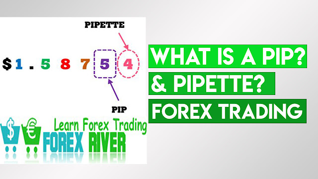 What Is PIP and PIPETTE in Forex Trading Market