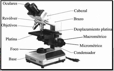 https://blogger.googleusercontent.com/img/b/R29vZ2xl/AVvXsEh1-1YfLFp-JB2SWkJPlK7sBQ_2TnwnN4MOltdhE7_wD2NLm6NyGh99LmmW8HVweE333LYVj_wJYlQE_OKsF_uoJznBflKG8xidW7qbygL6TDdFcUgtYYNFuNRWB6wUXhsWr0SUqkrMNo8c/s1600/microscopio.gif