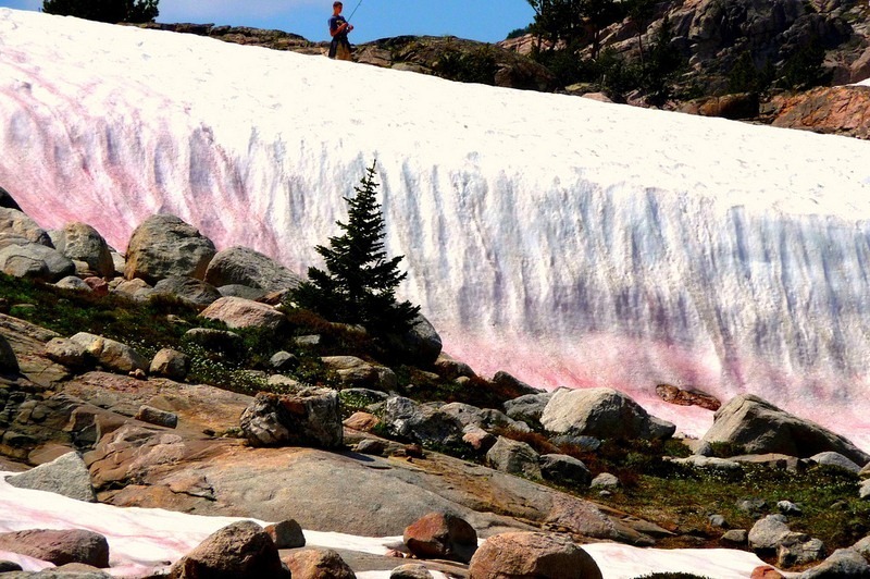 watermelon-snow-1 watermelon-snow-1