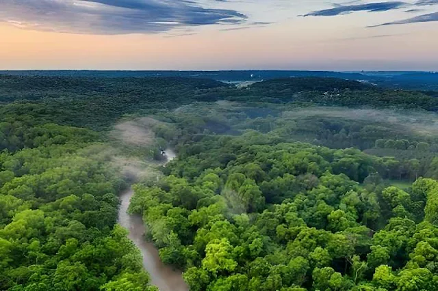 A pesar de la selva, la antigua ciudad Upano en el Amazonas tenía caminos de hasta 20 km, desafiando la percepción de una sociedad desconectada en la región.