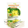 Simple Yeast Infection Cure