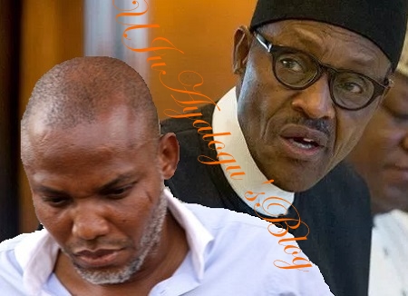 It will be a tragic mistake to treat Nnamdi Kanu like a common criminal - Col. Umar sends message to Buhari 