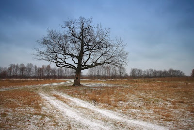 The Magnificent Beauty of Nature’s Landscapes Seen On www.coolpicturegallery.net