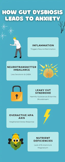 Infographic showing how gut dysbiosis leads to anxiety. This includes inflammation (triggers neuroinflammation), neurotransmitter imbalance (less serotonin & GABA), leak-out syndrome (harmful substances enter the bloodstream), overactive HPA axis (heightened stress response), and nutrient deficiencies (lack of B vitamins and magnesium).