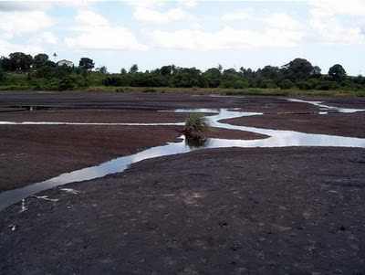 Keanehan Danau Aspal Di Trinidad [ www.BlogApaAja.com ]