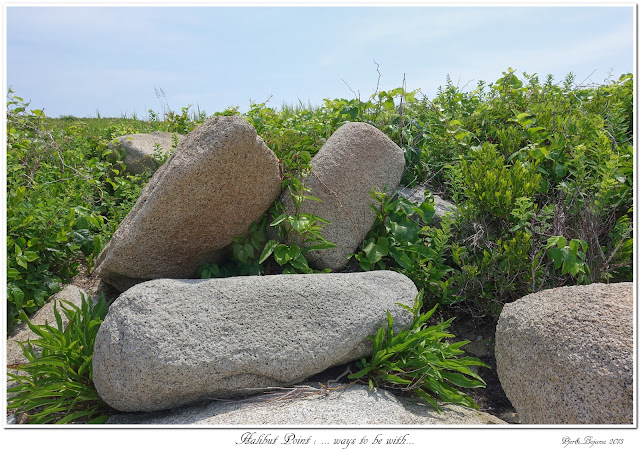 Halibut Point: ... ways to be with...