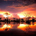 Etosha National Park - Namibia