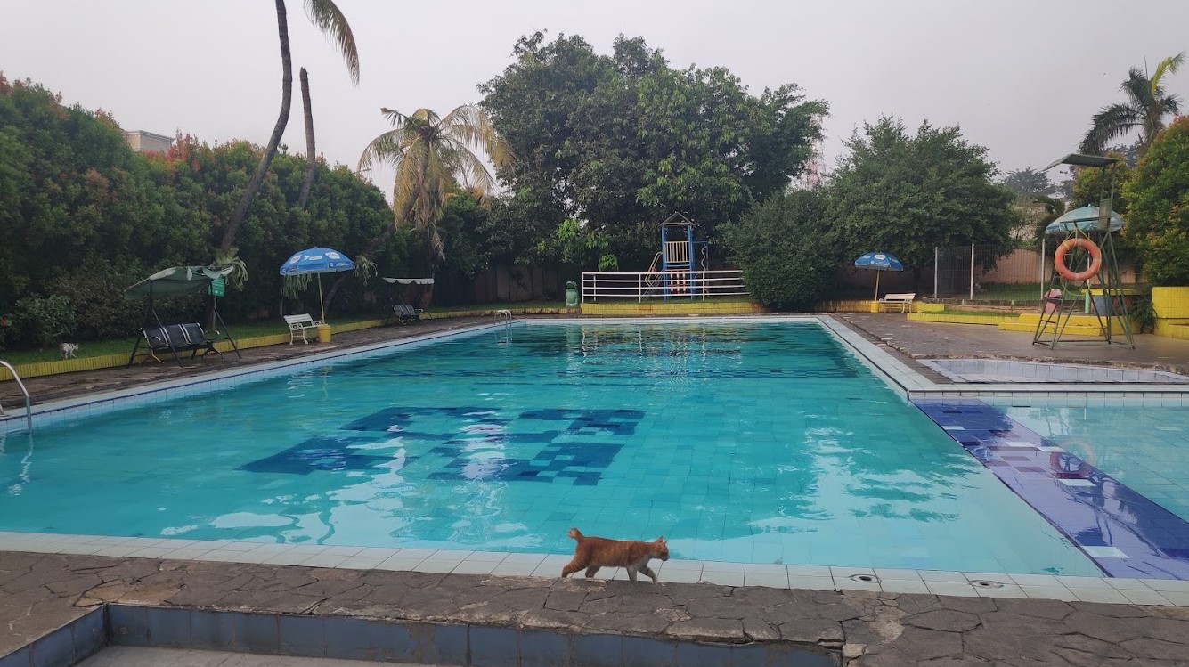 copylas indonesia sport club kolam renang kopilas