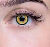Amber Contact Lenses To Enhance Your Eyes with Vibrant Hues