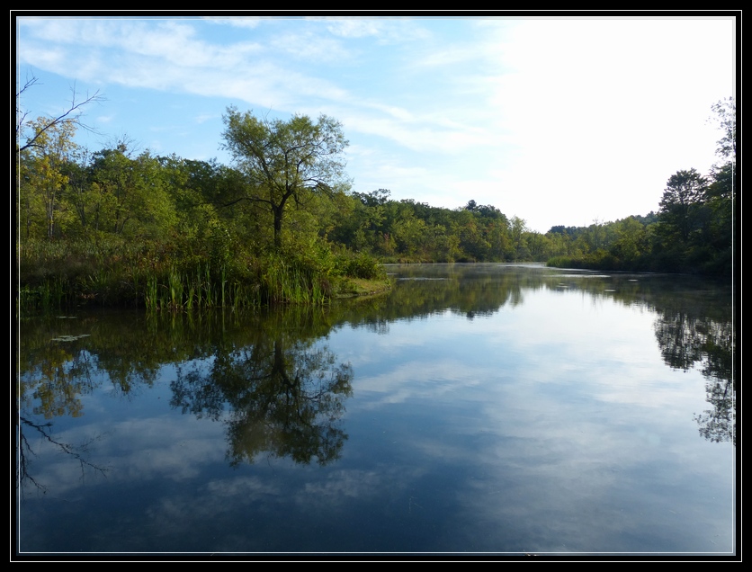 Fish Creek on Saratoga Lake - Where There's More to See than