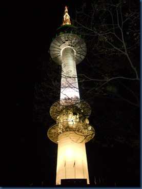 DSCN0794