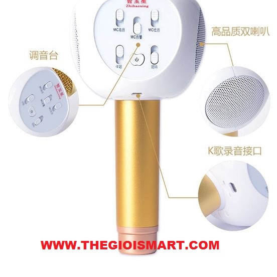 http://www.thegioismart.com/2016/10/micro-karaoke-bluetooth-zbx-66.html