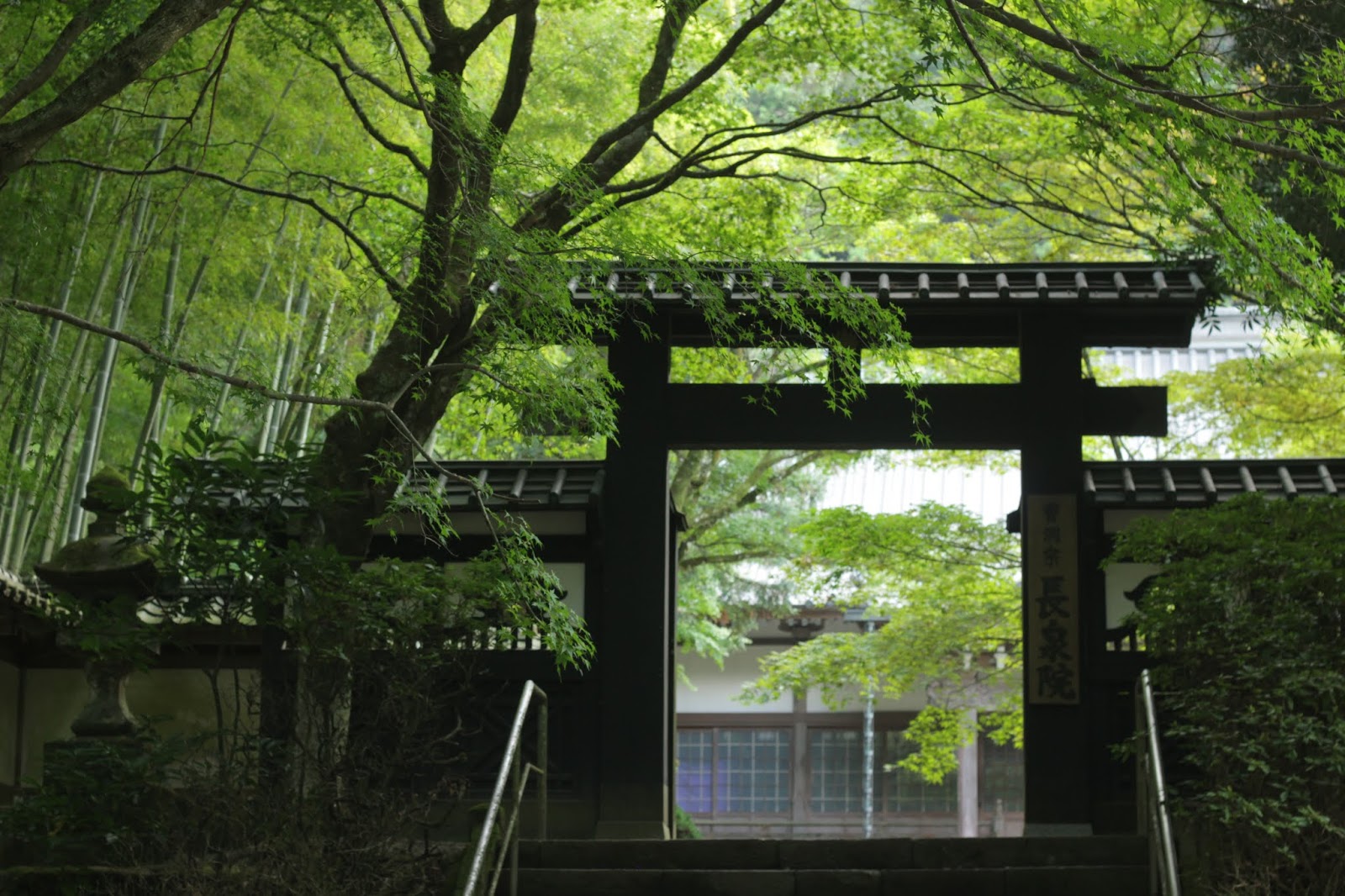 南関東日帰りドライブ可能なおすすめの紅葉写真撮影スポット 神奈川県南足柄市長泉寺