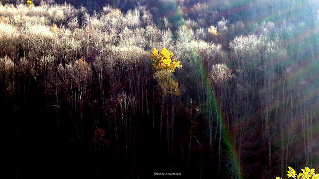 ariege en hiver