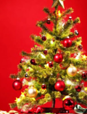 Christmas tree; Know the History, Significance and Origination