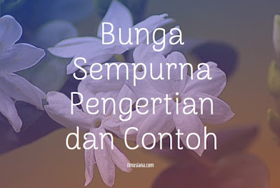 Bunga Sempurna: Contoh dan Pengertian