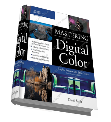 Mastering Digital Color A Photographer's and Artist's Guide