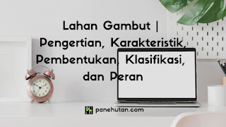 Lahan Gambut | Pengertian, Karakteristik, Pembentukan, Klasifikasi, dan Peran