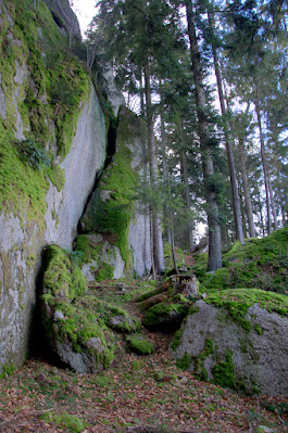Bilder aus dem Wald: große Granitsteine sind teilweise von Moos überzogen.