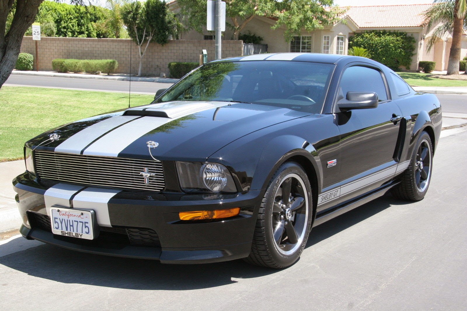2007 Shelby Gt For Sale.html  Autos Post