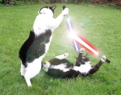2 comments: funny cats 2. 2 comments:
