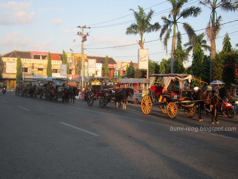 Bumi Reog Ponorogo: Foto Kota Ponorogo 2013