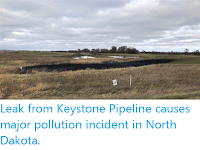 https://sciencythoughts.blogspot.com/2019/11/leak-from-keystone-pipeline-causes.html