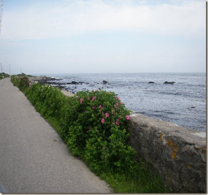Oceanside B- S 2 