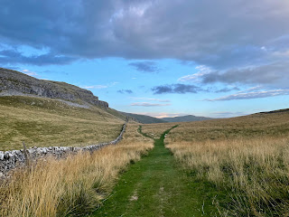 A grassy path in the Dales with a stone wall and stony hill on the left.