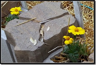 2013-06-01 12.11.04