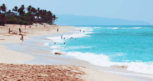 Surfers North Shore Oahu Hawaii