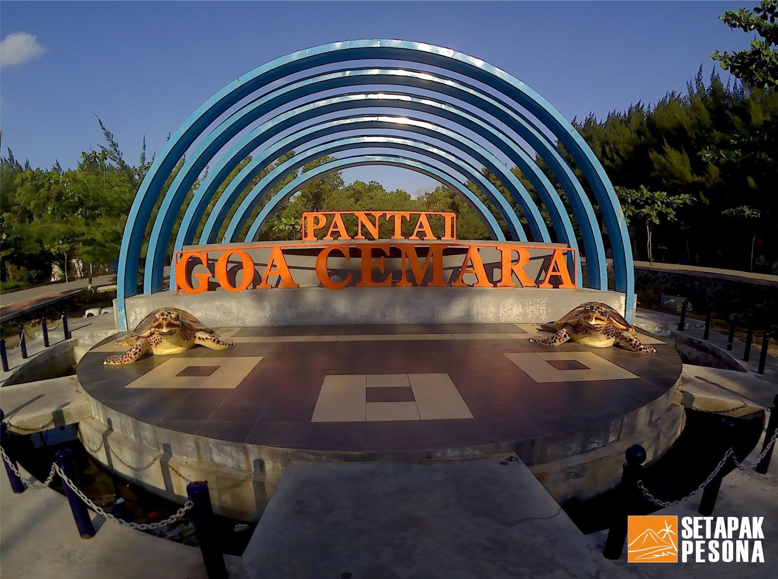 Pesona Pohon Cemara  di Pantai Goa Cemara  Bantul 