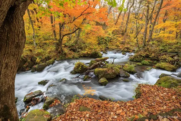 oirase gorge