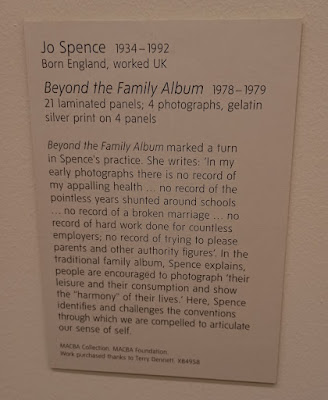 Text panel about the "Family album" artwork.