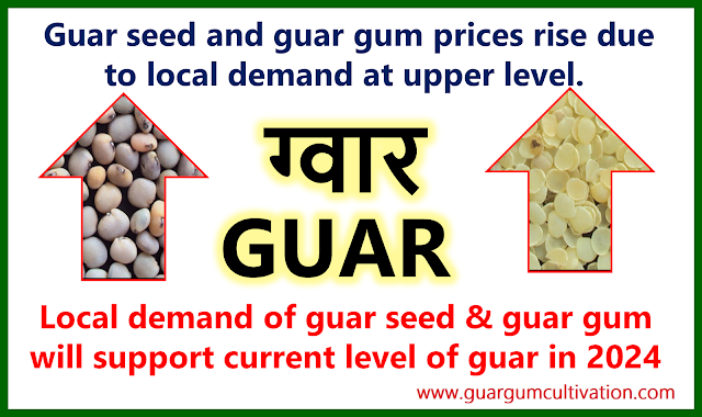 Guar seed and guar gum prices rise due to local demand at upper level.