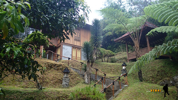 Menginap di Rumah Hobbit, Grafika Cikole - Jalan-Jalan KeNai