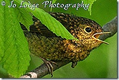 IMG_1270