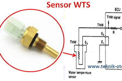 Fungsi dan Cara Kerja Water Temperature Sensor (WTS)